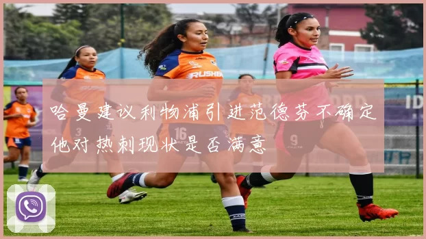 哈曼建议利物浦引进范德芬不确定他对热刺现状是否满意