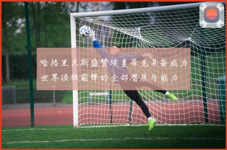 哈格里夫斯盛赞埃基蒂克具备成为世界顶级前锋的全部潜质与能力